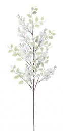 [S-B0934809] 12x Ramo Jillie Bacche Bianco C
