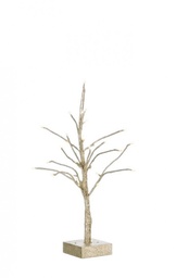 [S-B0918439] 2x Albero Glad Champagne H60