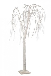 [S-B0914385] 2x Albero Salice Bia Irid H120