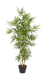 [S-B0172384] 2x Pianta Bamboo C-Vaso H130Cm