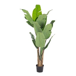 [S-B0172429] Pianta Banano decorazione casa con vaso 16 foglie 170h cm