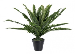 [S-B0172400] 2x Pianta Felce C-Vaso 24Foglie H45Cm