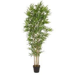 [S-B0172386] Pianta Decorazione Casa in Bamboo con Vaso 185h cm