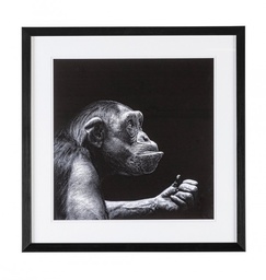 [S-B0240880] 2x Quadro C-C Evidence 106 49X49