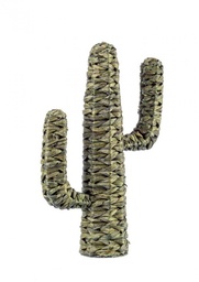 [S-B0140941] 4x Cactus Saguaro Verde H59
