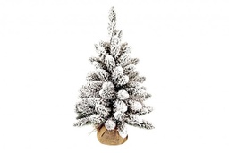 [S-B0898300] 6x Albero Oregon Innevato H60