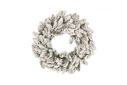 [S-B0898304] 6x Corona Oregon D60