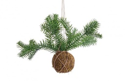[S-B0937157] 6x Decorazione Sfera Kokedama C