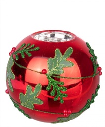 [S-B0937673] 6x P.Candela Vt Berries Rosso L