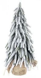 [S-B0933523] 6x Pino Cimone Innevato H35