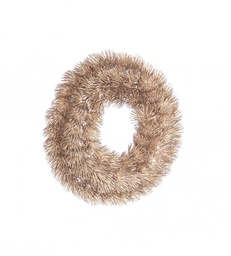 [S-B0971264] 8x Corona Angelique Champagne  D28