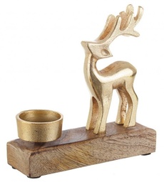 [S-B0936707] 8x P.Candela 1P Gillian Renna Nat