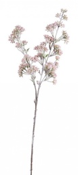 [S-B0932725] 8x Ramo Winter Rosea Rosa H73Cm