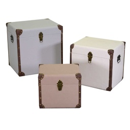 [S-V3823010000] Baule ecopelle naturale quadro 50x40h50