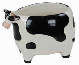 [S-V9159960000] Caspo' mucca so-8065 31 x 19 h 22