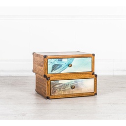 [S-WEAL011] Cassettiera 2 cassetti decorati multicolor in legno di mango 40x53x40 cm