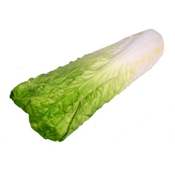 [S-V1864360000] Decorazione Artificiale Insalata cmø9h35