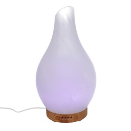 [S-V5601520000] Diffusore in vetro con spina cmø13,2h24,8