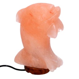 [S-V6911600000] Lampada in sale con base in legno a forma di delfino - 16x7x23 cm