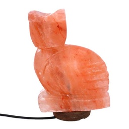 [S-V6911610000] Lampada in sale con base di legno gufo, attacco cm 16x7h23