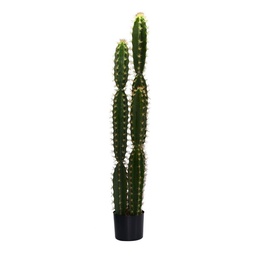 [S-V3628790000] Pianta Cactus con vaso tondo - Dimensioni: 18cm diametro x 124cm altezza