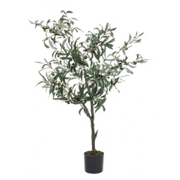 [S-B0172613] Pianta di ulivo con vaso nero 120h cm