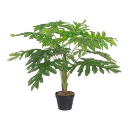 [S-B0172434] Pianta filodendro zigrinato 90h cm