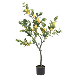 [S-B0172616] Pianta limone con vaso 198 foglie altezza cm 120