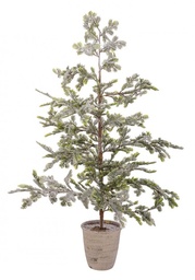 [S-B0937156] Pino Iceberg Innevato C-Vaso H120