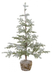 [S-B0934560] Pino Peralba Innevato H113