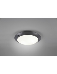 [S-TRIOR60502042] Plafoniera Da Esterno Camaro Antracite IP54 Ø33 cm Trio Lighting