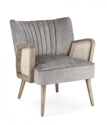 [S-B0748256] Poltrona Virna Silver - Eleganza e comfort per il tuo spazio abitativo