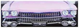 [S-V9160370000] Quadro Auto Rosa su-0035 cm. 120 x 40