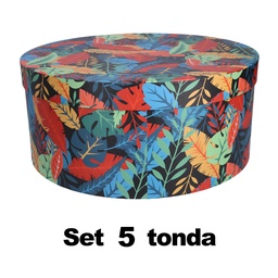 [S-V1230580000] Scatola Cartone 1-5 Piume Multicolor Tondo Ø40,5H17,8