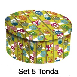 [S-V1212550000] Scatola cartone per gufi 1-5, 40,5x17,8 cm