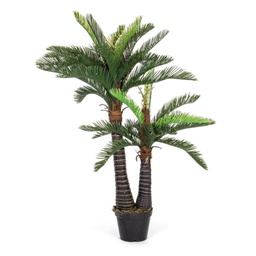 [S-B0172628] pianta palma c-vaso 36foglie 2tr h150