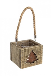 [SAM-B0916282] 5x P.Candela Mountain Pino - Samnite