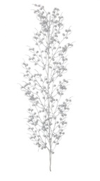 [SAM-B0934933] 6x Ramo Sheryl Bacche Argento H104Cm - Samnite