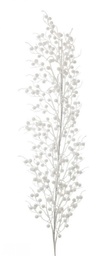 [SAM-B0934935] 6x Ramo Sheryl Bacche Bianco H104Cm - Samnite