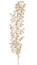 [SAM-B0934931] 6x Ramo Sheryl Bacche Oro H104Cm - Samnite