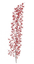 [SAM-B0934932] 6x Ramo Sheryl Bacche Rosso H104Cm - Samnite