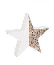 [SAM-B0916757] 6x Stella Berg Bicolor - Samnite