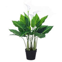 [SAM-B0172496] Pianta Calla da arredo con vaso 68h cm - Samnite